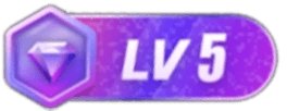 等级-LV5-网赚圈